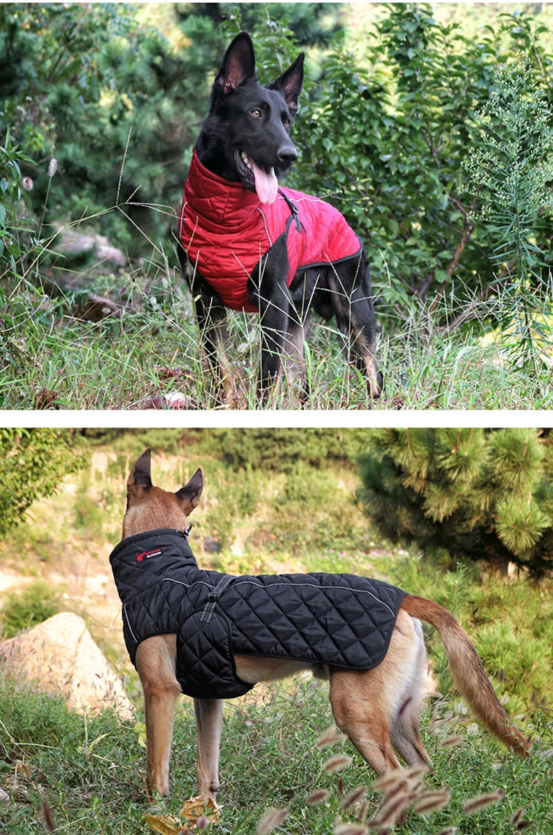 Winter Dog Clothing Jacket