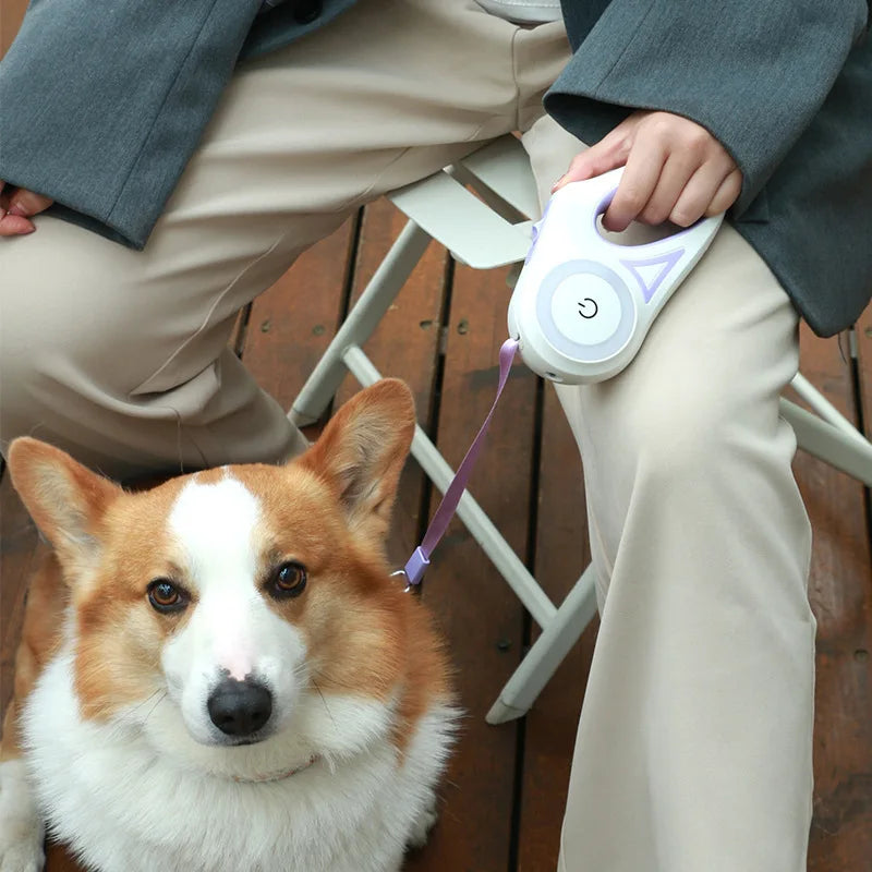 Automatic Extending LED Dog Leash
