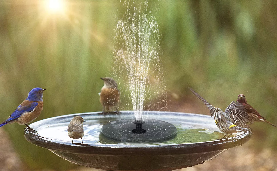Sun Splash Water Fountain™ 40% OFF!