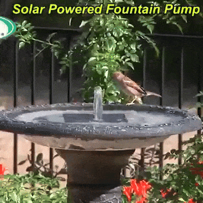 Sun Splash Water Fountain™ 40% OFF!