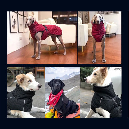Winter Dog Clothing Jacket