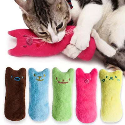 Catnip Interactive Chewing Toy for Cats