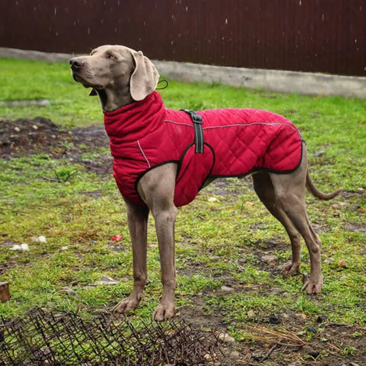 Winter Dog Clothing Jacket