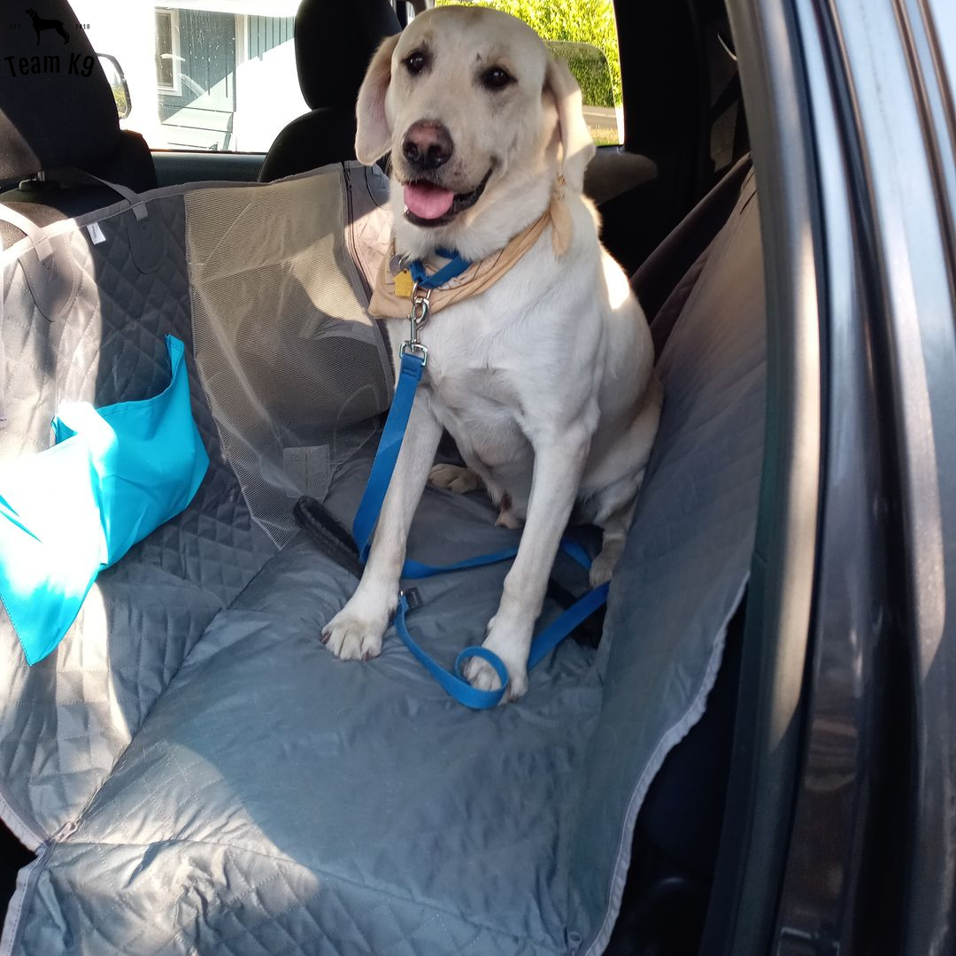 NEW Waterproof Non-Slip Car Seat Hammock Cover With Pockets, Side Flaps, Headrest Straps, Seat-Anchors, & Mesh Window (+FREE SAFETY BELT!)