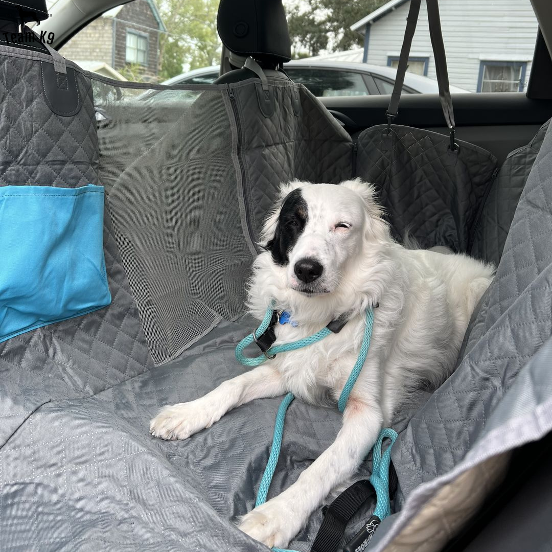 NEW Waterproof Non-Slip Car Seat Hammock Cover With Pockets, Side Flaps, Headrest Straps, Seat-Anchors, & Mesh Window (+FREE SAFETY BELT!)